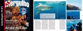 Mergulho n194