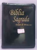 Biblia Sagrada Edição de Promessas